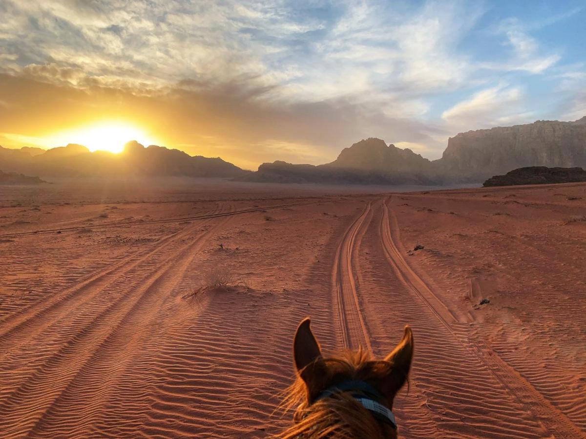 Wadi Rum Bedouin Tour With A Camp מראה חיצוני תמונה