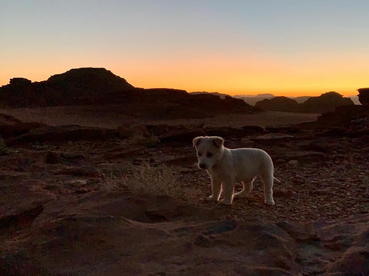 Wadi Rum Bedouin Tour With A Camp מראה חיצוני תמונה