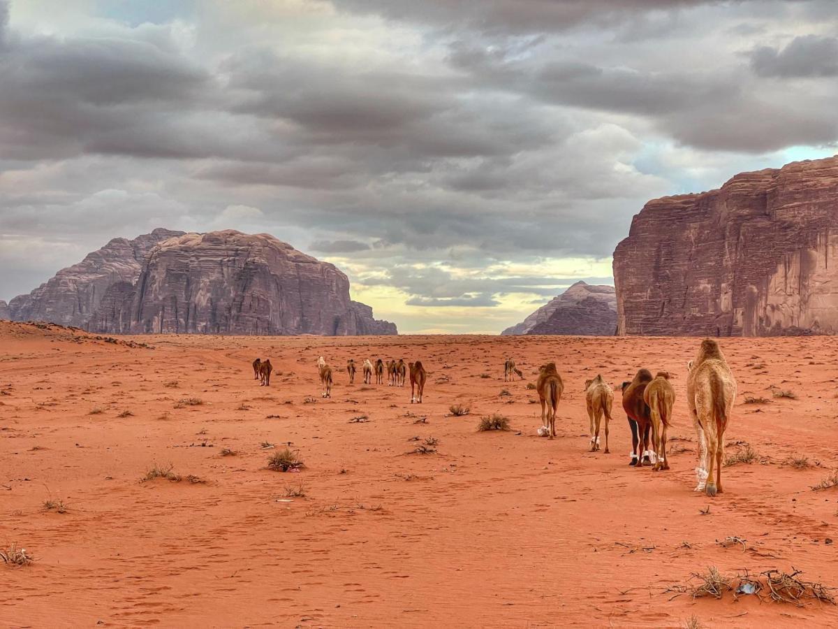 Wadi Rum Bedouin Tour With A Camp מראה חיצוני תמונה