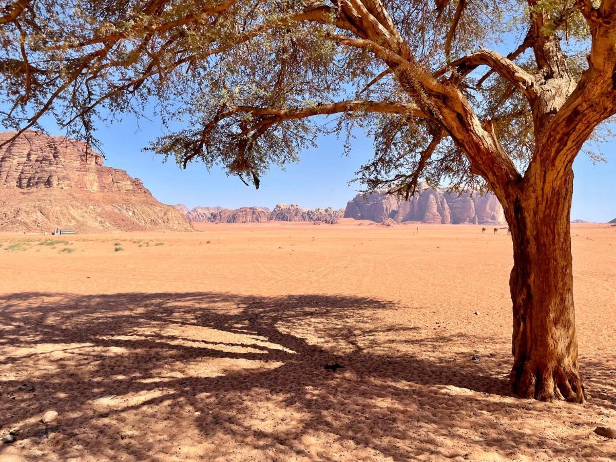 Wadi Rum Bedouin Tour With A Camp מראה חיצוני תמונה