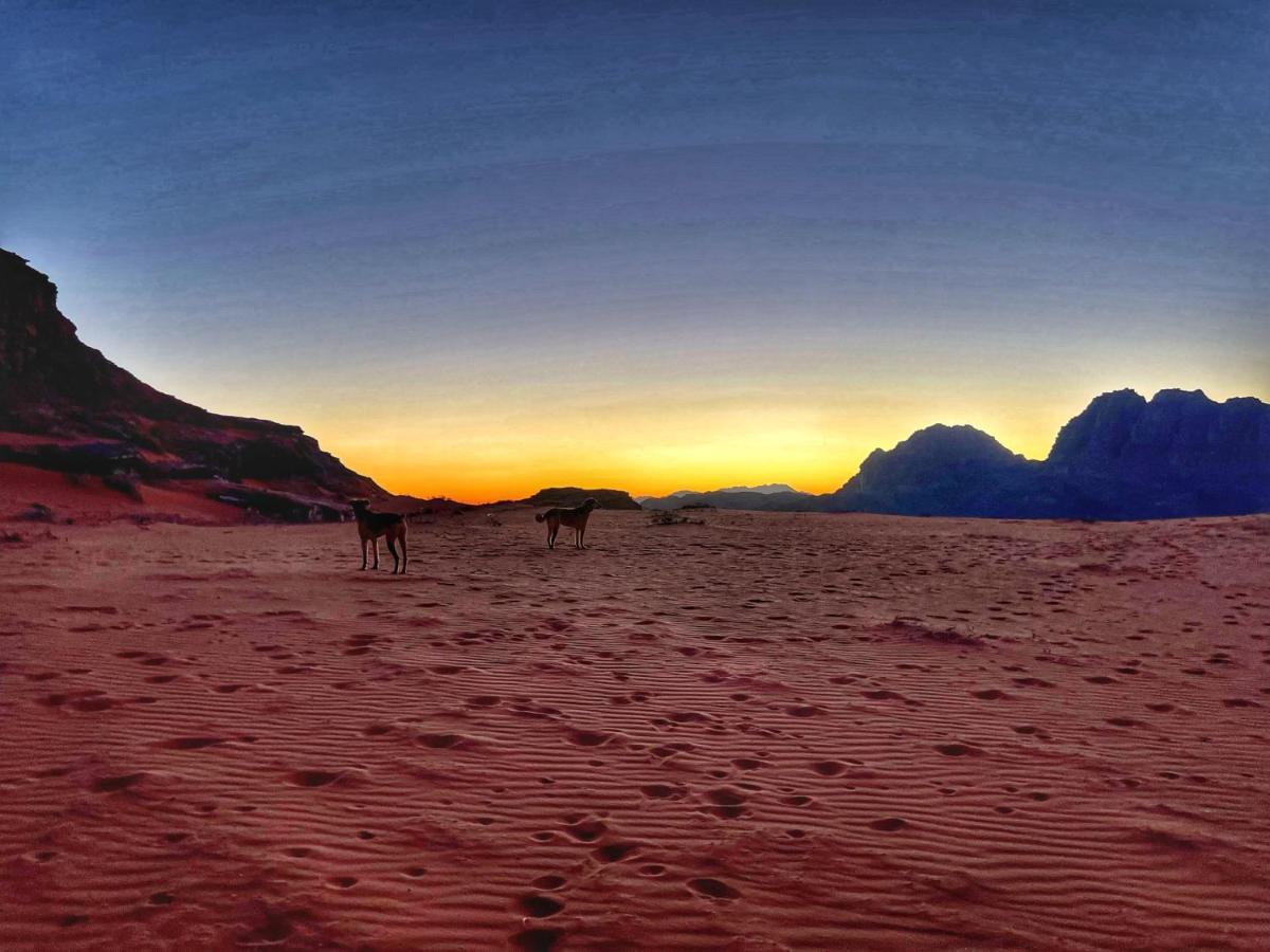 Wadi Rum Bedouin Tour With A Camp מראה חיצוני תמונה