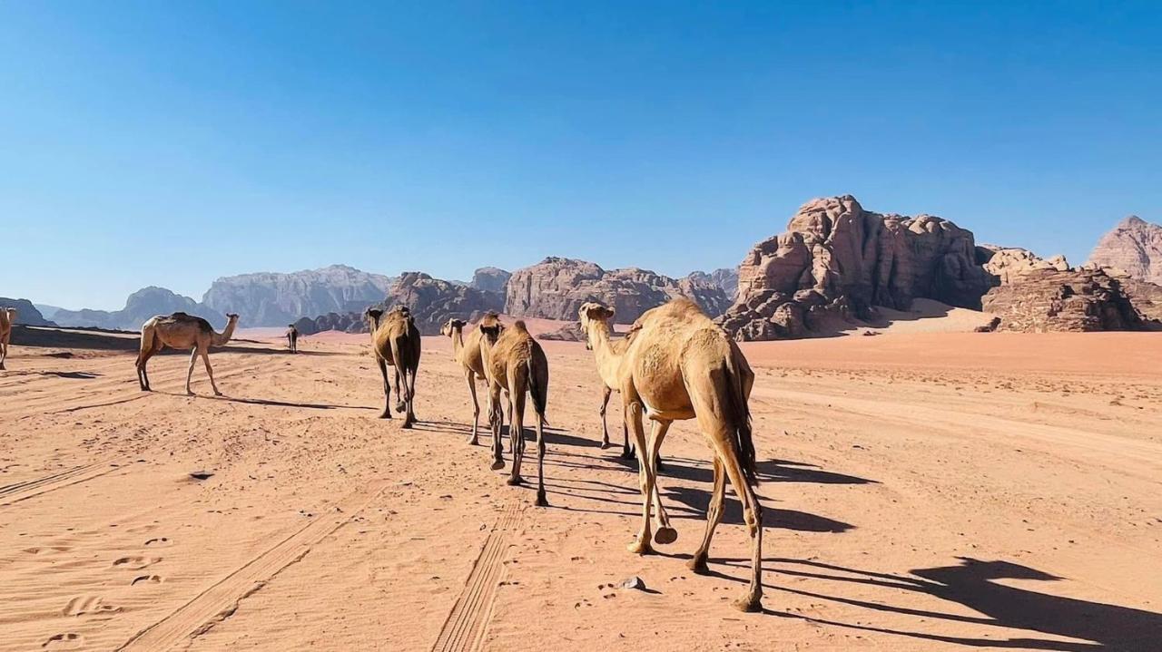 Wadi Rum Bedouin Tour With A Camp מראה חיצוני תמונה